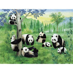 Paint By Numbers Panda Family