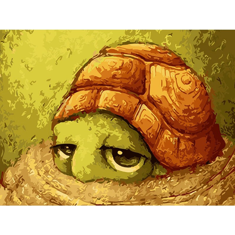 Paint By Numbers Sad Turtles