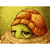 Paint By Numbers Sad Turtles