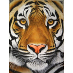 Paint By Numbers Tiger Face