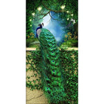 Paint By Numbers Peacock On Wall