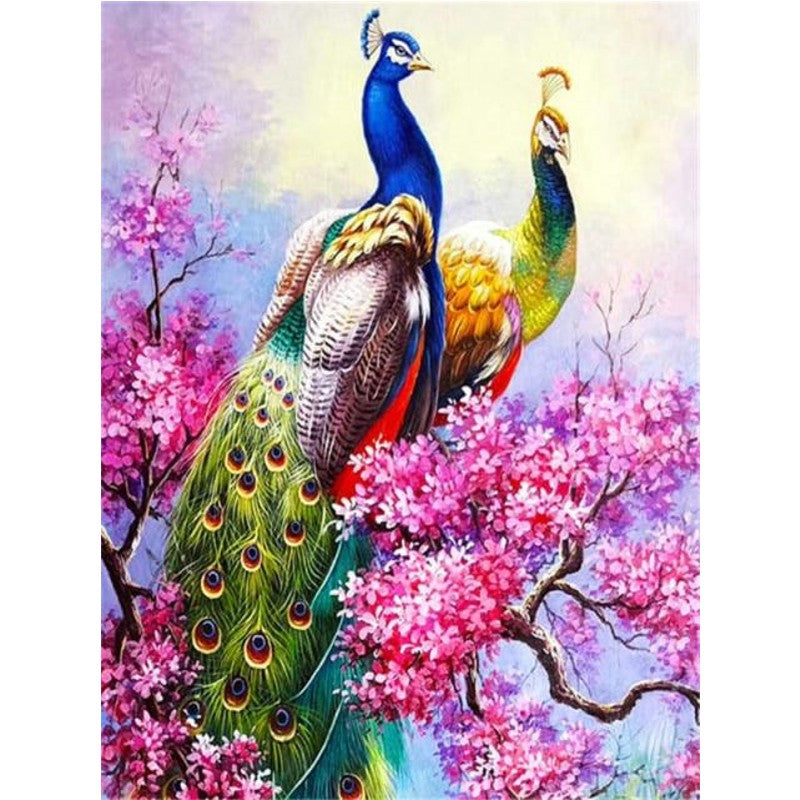 Paint By Numbers Peacock Pairs