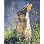 Paint By Number Rabbit On Lookout