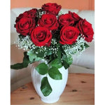 Red Rose Paint By Numbers