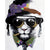 Paint By Numbers Soldier Lion