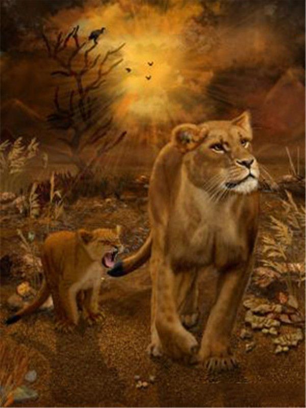 Lioness And Cub
