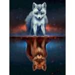 Paint By Numbers White And Red Fox