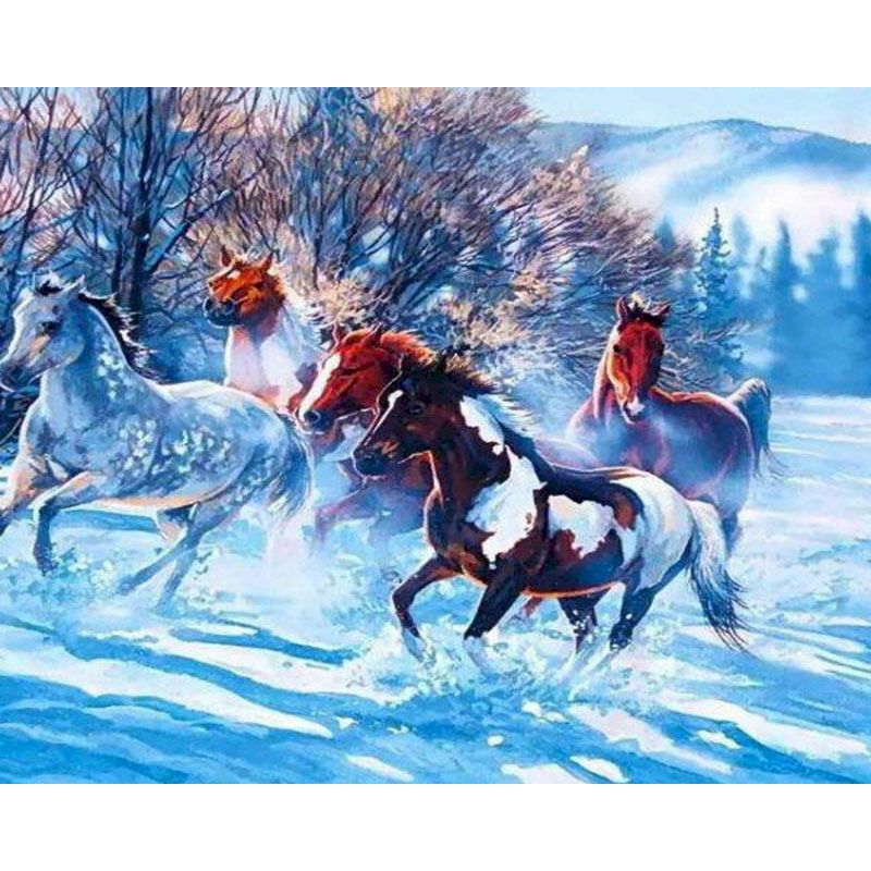 Paint By Numbers Mustang In Snow