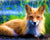 Old Fox