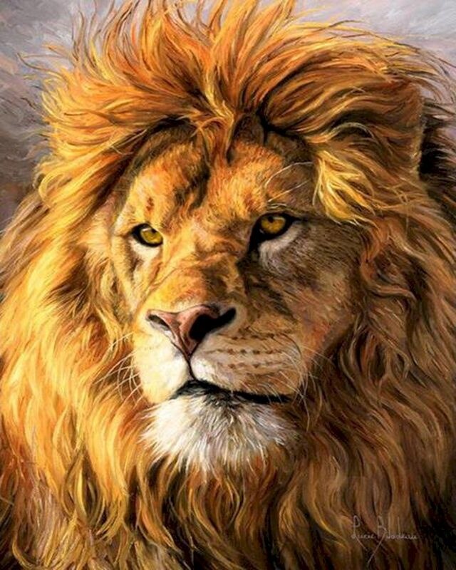 Proud Lion