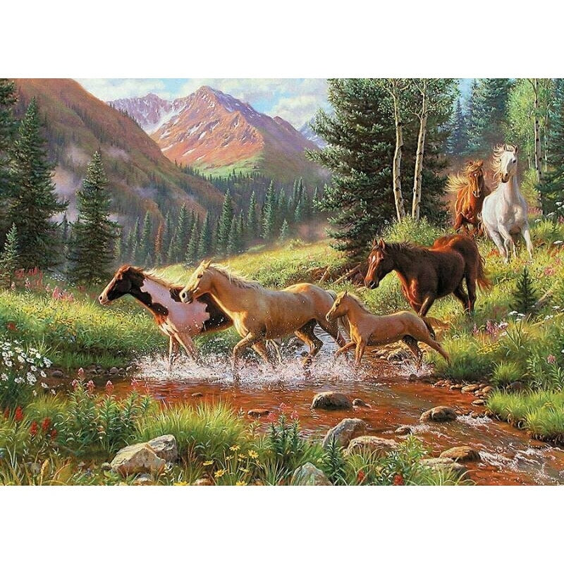Paint By Numbers Horses In Mountain