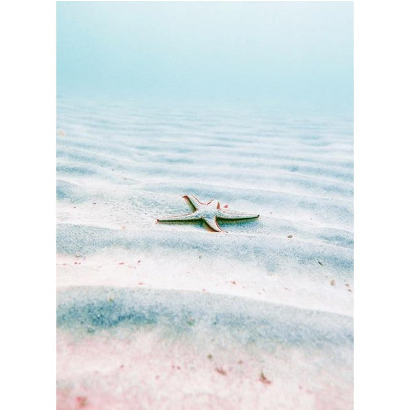 Starfish On The Sand