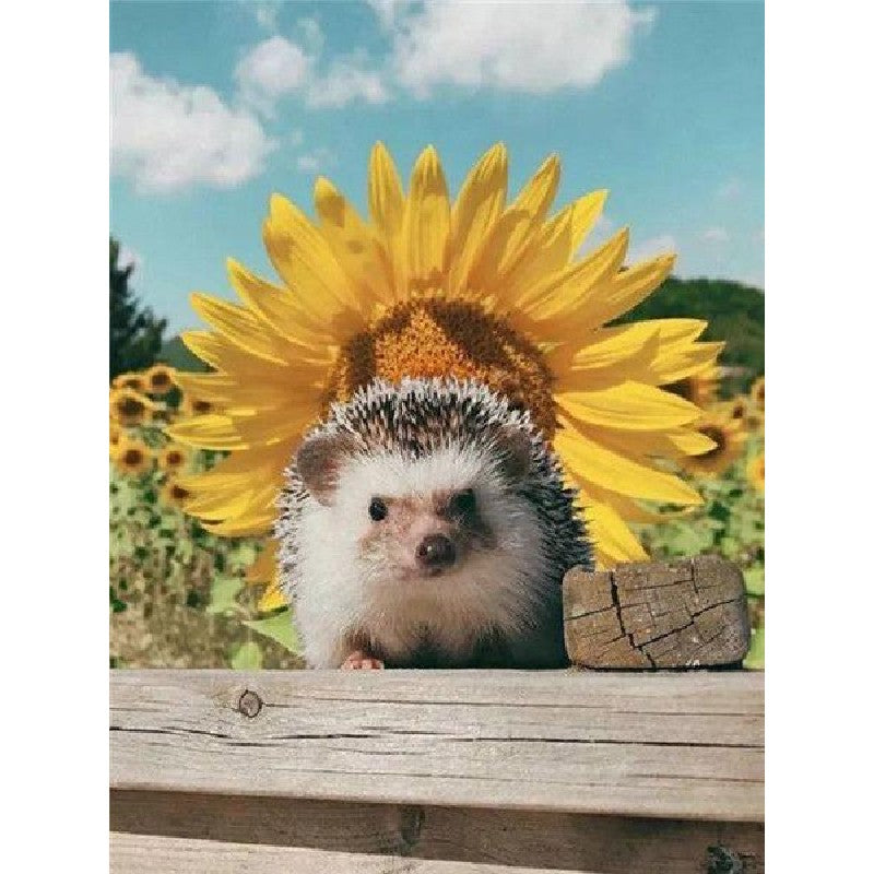 Paint By Numbers Sunflowers And Hedgehog