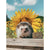 Paint By Numbers Sunflowers And Hedgehog