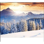 Sunrise On The Mountain