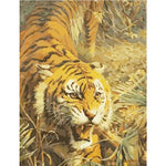 Paint By Numbers Threatening Tiger