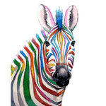 Zebra face - Paint By Numbers Zebra