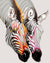 Couple Of Zebras