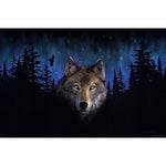 Paint By Numbers Wolf