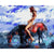 Paint By Numbers Abstract Rider