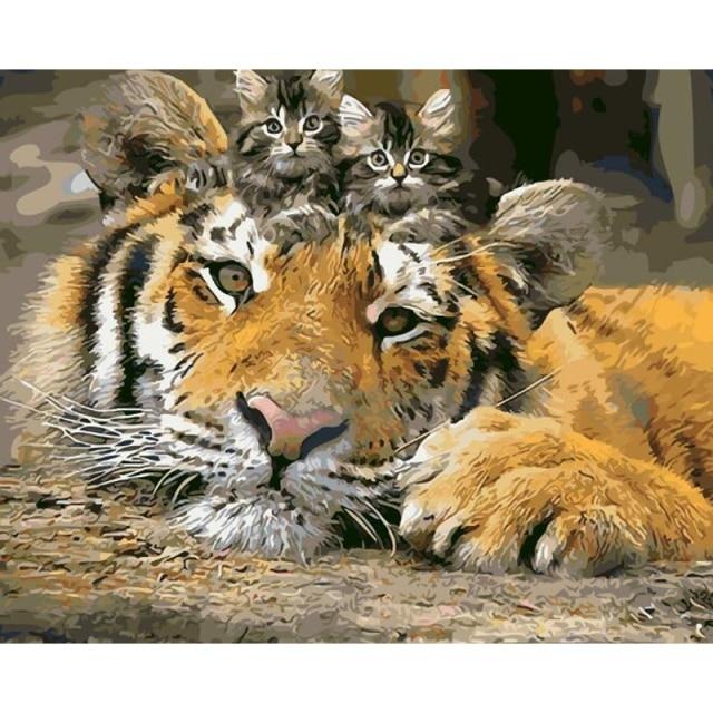 Kitten And Tiger