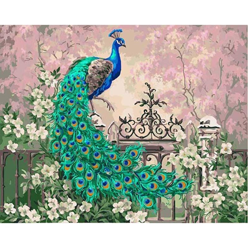 Paint By Numbers Peacock In Garden
