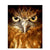 Eagle With Piercing Eye - Paint By Numbers Eagle