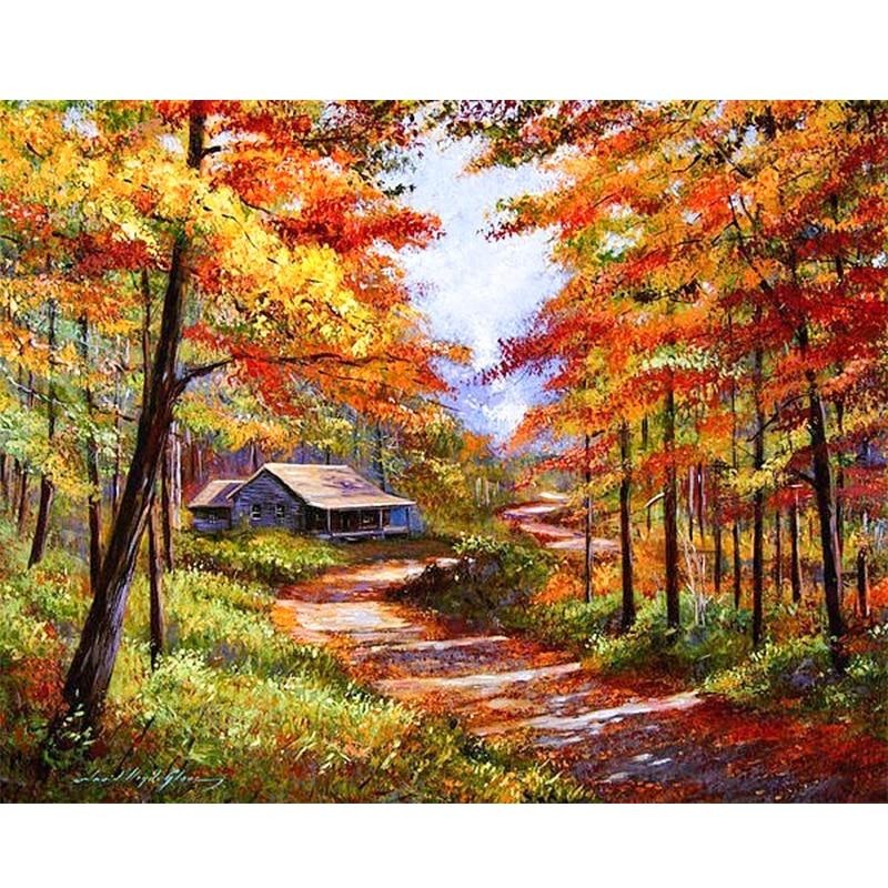 Paint By Numbers Hut In Forest