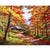 Paint By Numbers Hut In Forest
