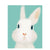 Paint By Numbers White Rabbit