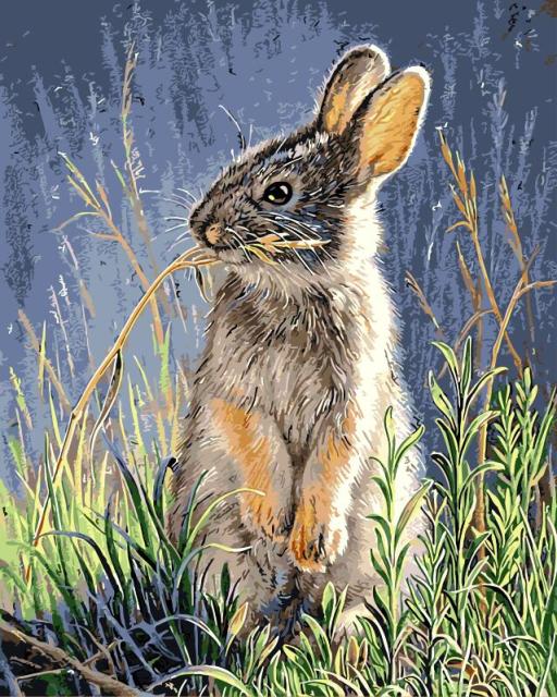 Rabbit On Lookout