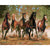 Paint By Numbers Mustang Groupe