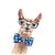 Nerd giraffe - Paint By Numbers Giraffe