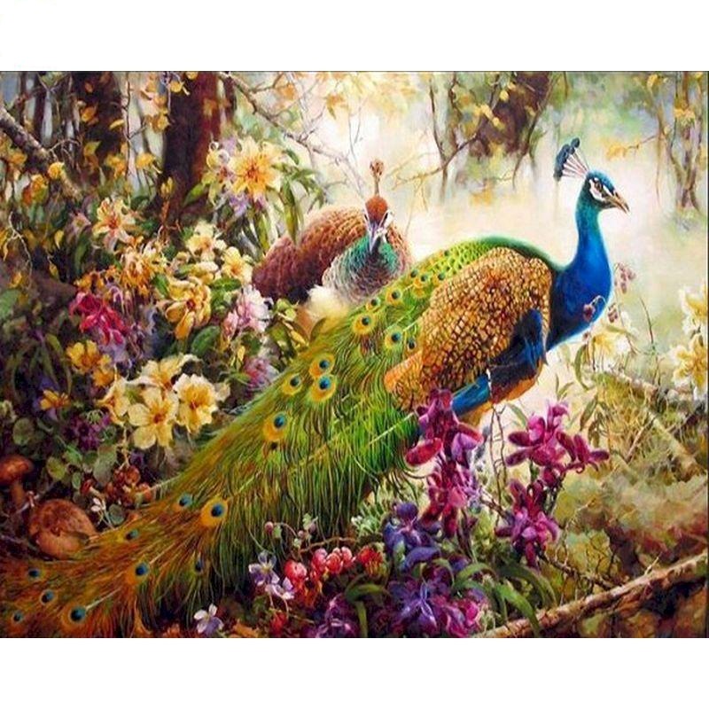 Paint By Numbers Peacock In Wild