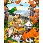 Pet Paint By Numbers