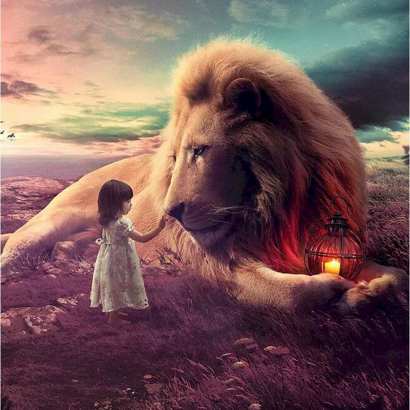 Paint By Numbers Lion And Girl