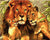 Lion Family