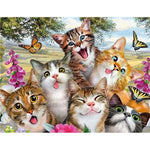 Paint By Numbers Cat Selfie