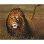 Paint By Number Lion Picture
