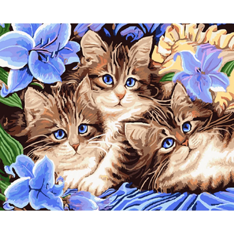 Paint By Number Three Kitten