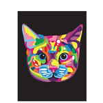 Paint by numbers colorful cat