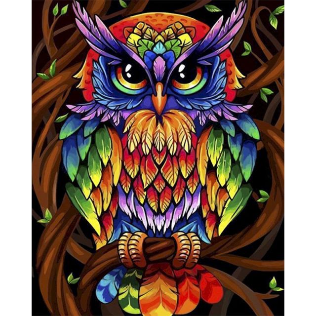 Colourful Owl Paint By Numbers