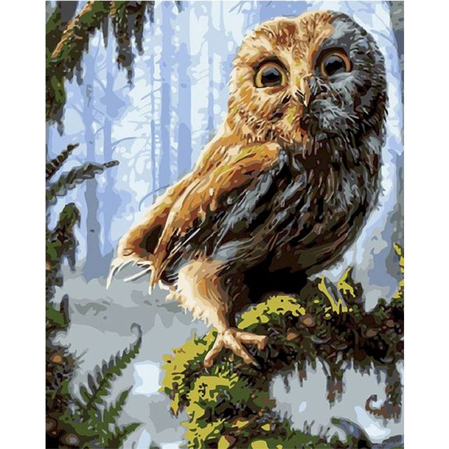 Paint By Numbers Cute Owl