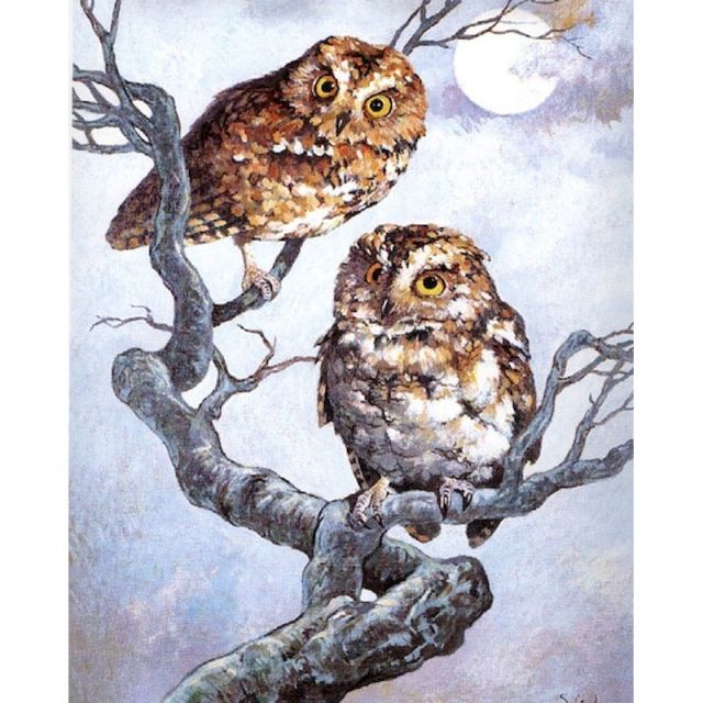 Paint By Number Two Owls