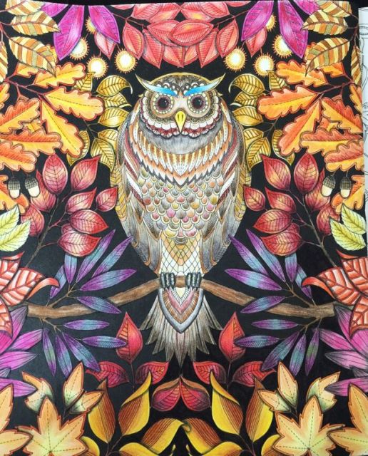 Mysterious Owl