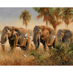 Paint By Numbers Elephant Pics