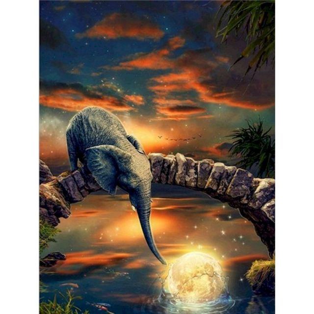 Paint By Number Elephant And Moon