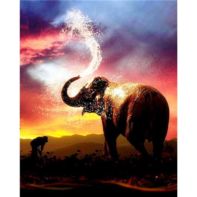 Paint By Numbers Elephant Playing With Water