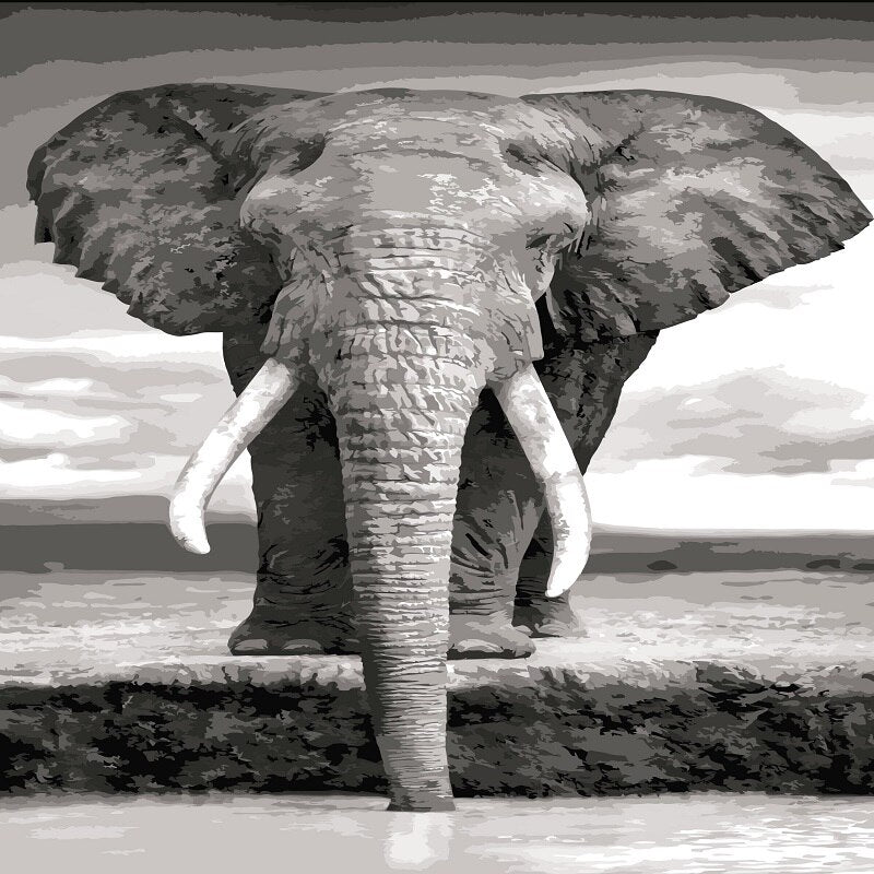 Paint By Numbers Elephant Drinking