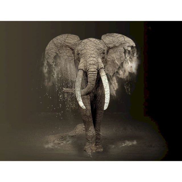 Dusty Elephant